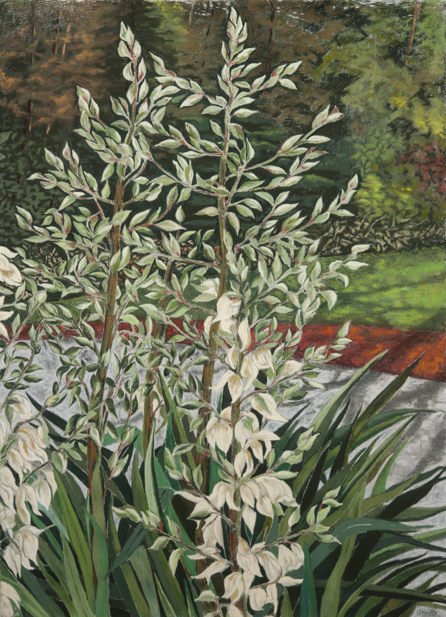 Miles, Yucca Spikes Along the Path, Soft Pastel