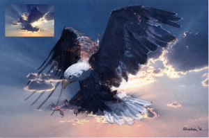 Susan,Eagle, with its cloud inspiration inset